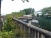 A Bridge