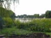 A Pond