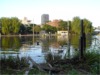 A Pond