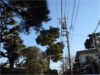 Power Lines