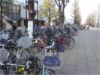 A Bicycle Shed